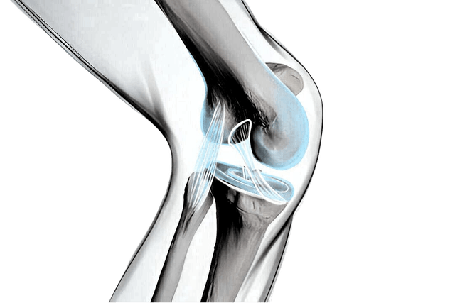 Bone & Joint Health
