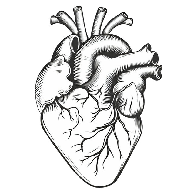 Cardiac Health