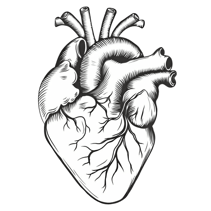 Cardiac Health