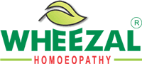 wheezal brand logo